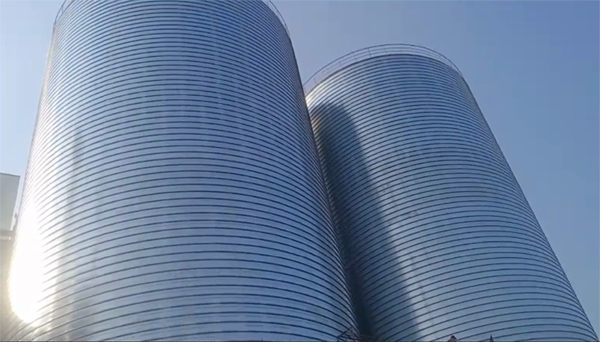 凯里2座混凝土高架卷板仓